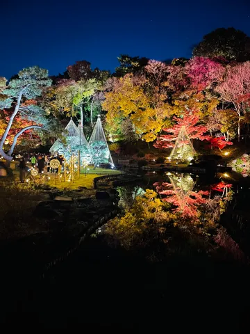 煌めく夜の紅葉庭園