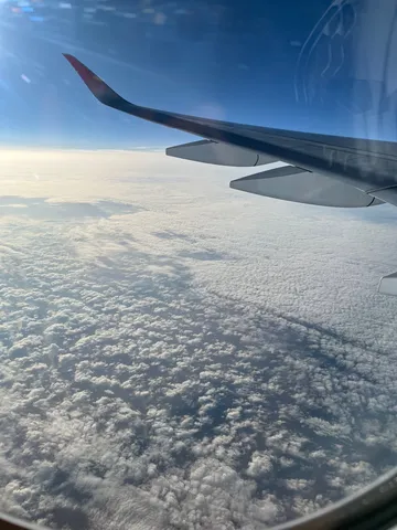 雲海の上を飛ぶ翼