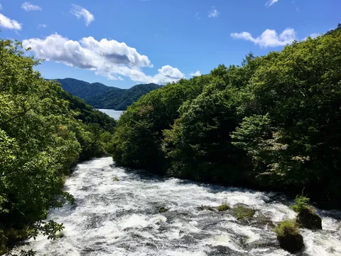 激流と木漏れ日のコントラスト