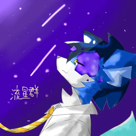 流星群に願いを