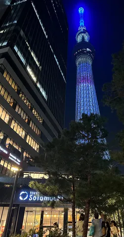 夜景の青く光る塔と街並み
