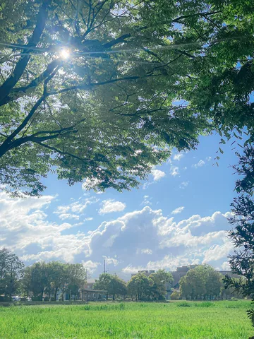 光のヴェール、雲の海