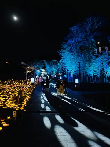 月夜に灯る幻想的な小径