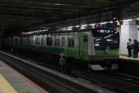 深緑の電車が駅に停車