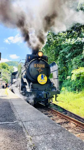 青空を彩る漆黒の蒸気機関車