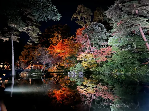ライトアップ兼六園