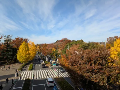 秋深まりゆく通り道