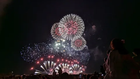 夜空を彩る花火の饗宴