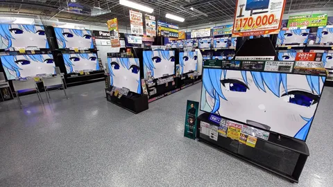 アニメキャラが迎える大型家電店