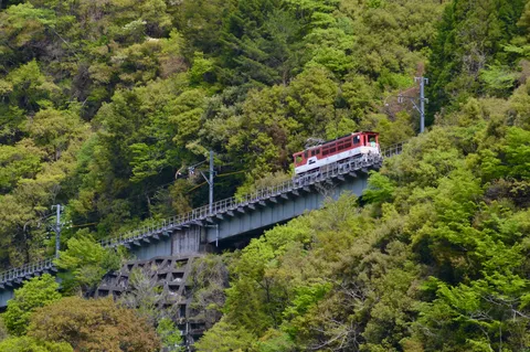 あれは…空飛ぶ列車！？
