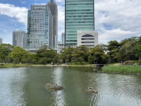 都会のオアシスで甲羅干し