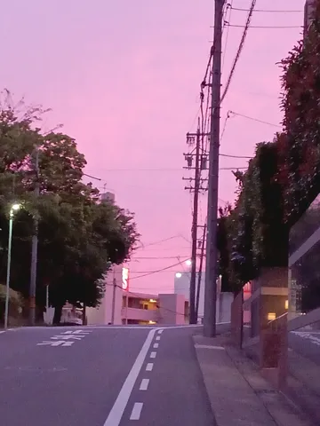 ピンクの街路と静かな夕暮れ