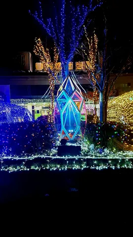 夜空に煌めく宝石