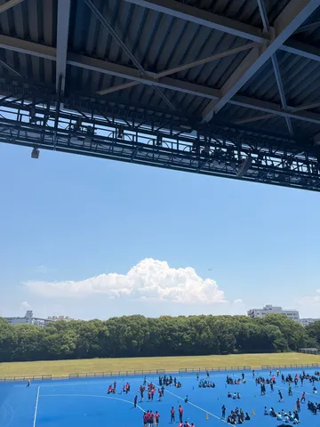 青いフィールドで人間観察中