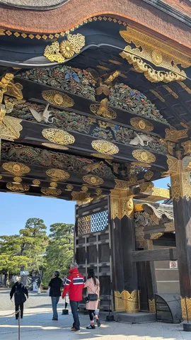 絢爛豪華な門構えと静かな参道