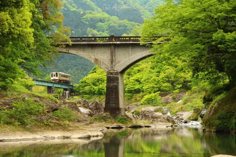 緑に埋もれそうな列車劇場