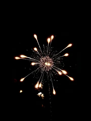 夜空に咲く、一瞬の芸術