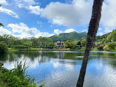 湖面に映る空と緑