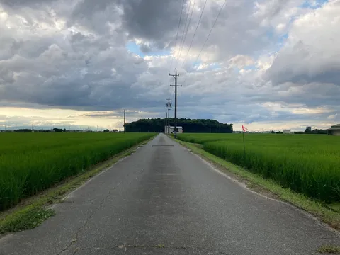 一本道の緑と空のコントラスト