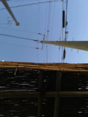 空と竹の穏やかな風景