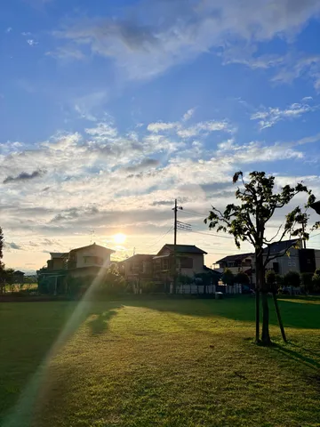 夕暮れ時の住宅街、草の絨毯