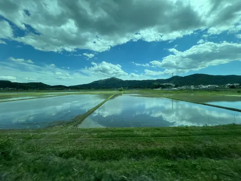 水田に映る雲と広がる青空