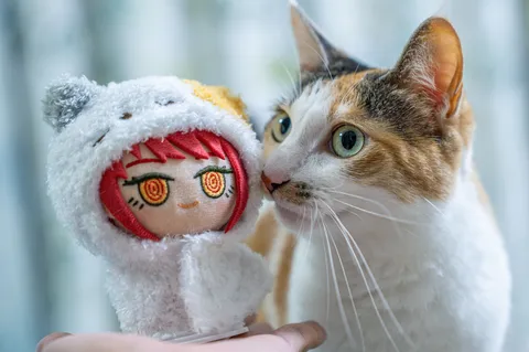 ぬいぐるみ越しのまなざし