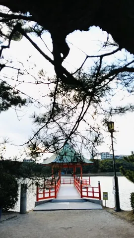 枝に縁取られた水辺の道