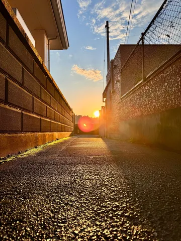 夕陽が導く黄金の路