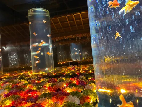 金魚と花の幻想空間
