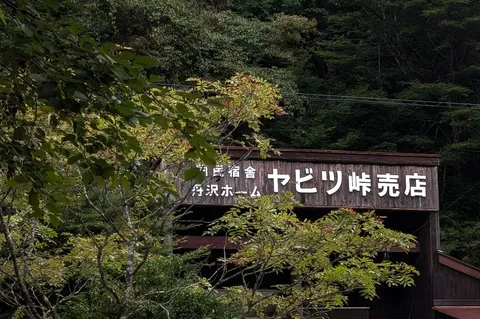 森の中の木製売店