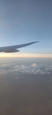 翼と広がる淡い空の景色