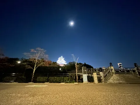 月夜に浮かぶ白亜の城