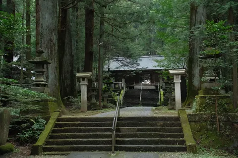森に佇む古刹への石段