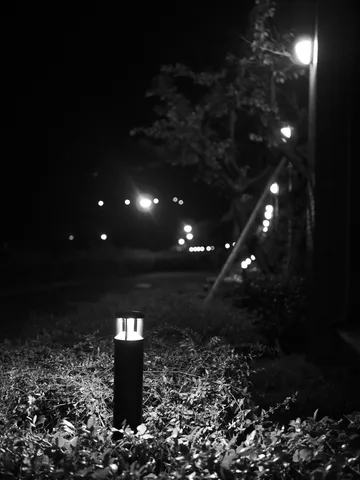 闇夜に灯る、静かな光