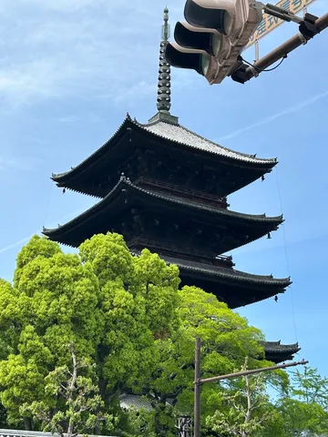 街角に佇む古塔、新緑の輝き