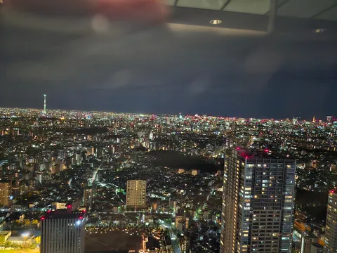 煌めく摩天楼、夜景に溶ける街