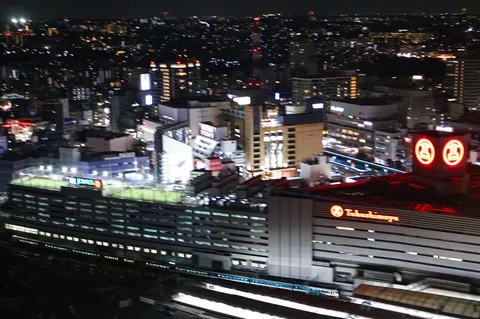 眠らない街の灯り、遥かなる夜景