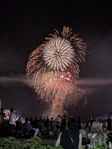 夜空を彩る光の饗宴