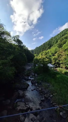森のせせらぎと岩の道