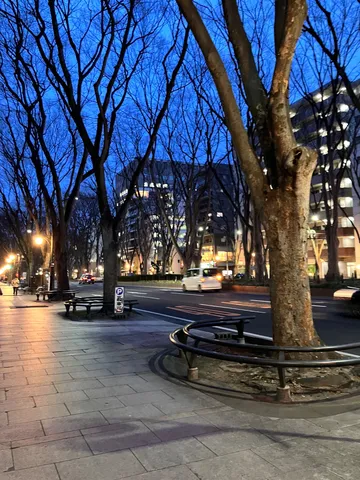 都会の静寂、木漏れ日の散歩道