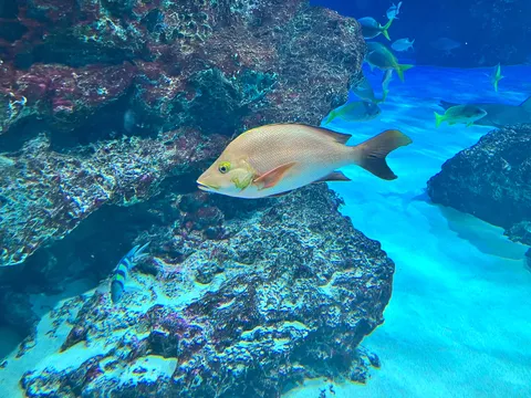 透きとおる水の小さな旅路