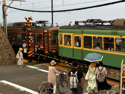 木目列車と緑の交差風景