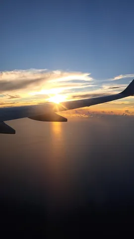 翼と夕陽の絶景フライト