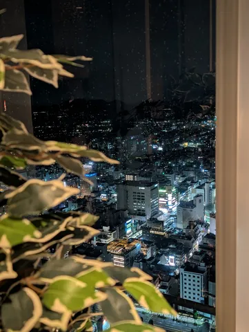 夜景と窓辺の静かな輝き