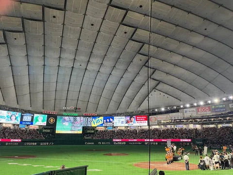 ドーム内に広がる夜のざわめき