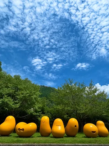 黄色い豆形オブジェの群像