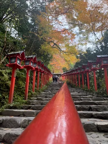 赤提灯と石畳の参道