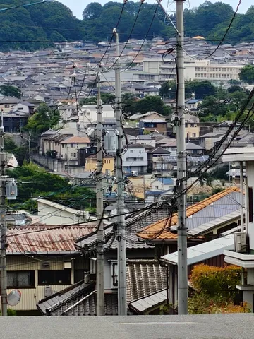 電線と住宅街の織りなす風景