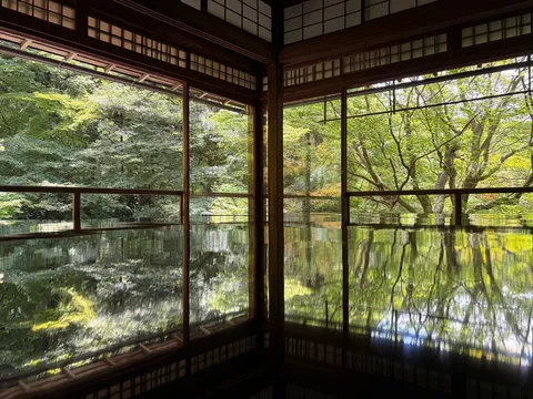 森を映す静かな窓辺
